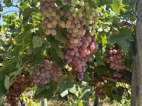 Ruta provincial 36 - calle 3 de mayo