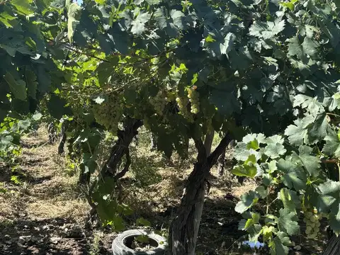 Terreno en Venta en 3 de Mayo, USD 85.000