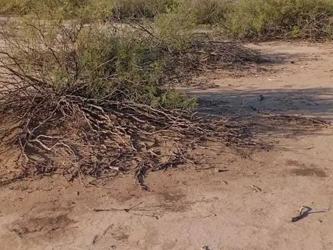 Terreno en Venta de 10,04 m2