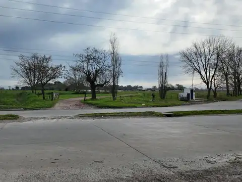 VENTA CAMPO 46 HECÁTAREAS EXCELENTE OPORTUNIDAD