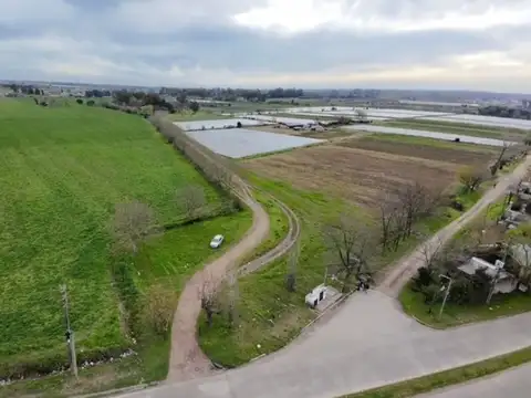 VENTA CAMPO 46 HECÁTAREAS EXCELENTE OPORTUNIDAD