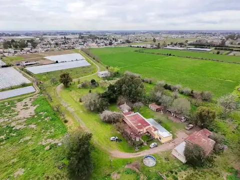 VENTA CAMPO 46 HECÁTAREAS EXCELENTE OPORTUNIDAD