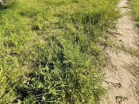 VENTA TERRENO LA ARBOLEDA