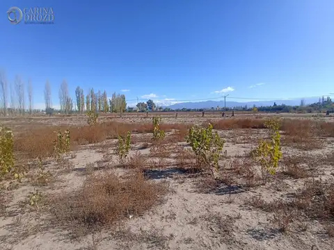 Terreno en Venta 15  mts Fondo