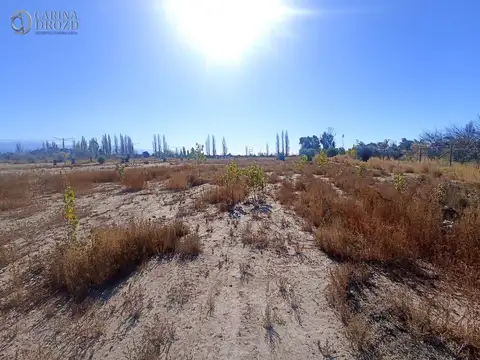 Terreno en Venta de 1030,0 m2