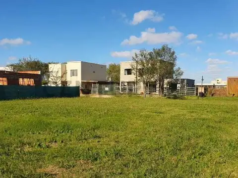 LOTE SANTA ISABEL II MASCHWITZ