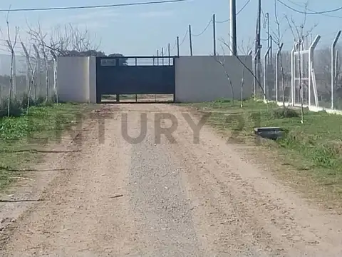 645 129 Y 130 Lote en venta. Barrio La Hermosura. La Plata
