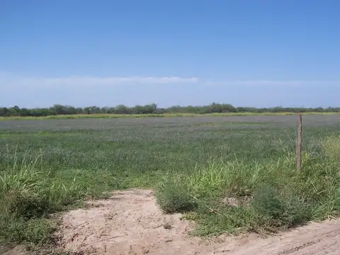 CAMPO EN COLONIA DORA,  OPORTUNIDAD DE INVERSION 