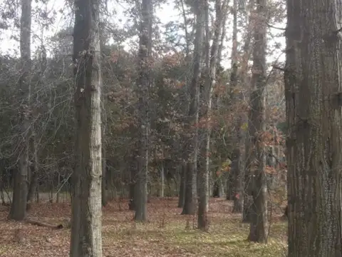 loma verde lote en venta