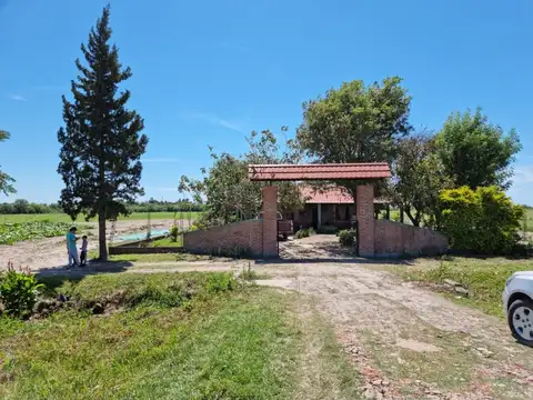 Campo en venta  sobre ruta nac. 11