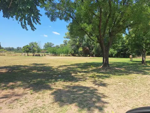 Casa en venta + campo en Zelaya