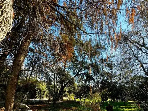 Terreno en Venta 37,50  mts Fondo