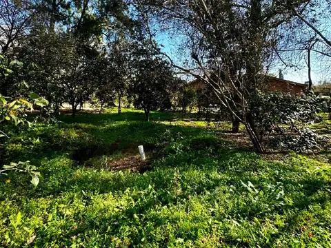 lotes en barrio Los troncos, km 52 de Pilar