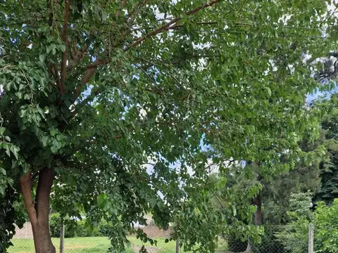 Terreno en Venta de 1374,0 m2