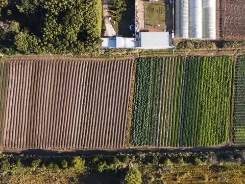 VENTA DE TERRENO DE 6795 MTS.  SAN JOSE CARRASCO 