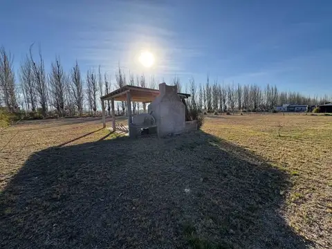 Terreno en Venta en San Carlos 2533 m2 Mendoza