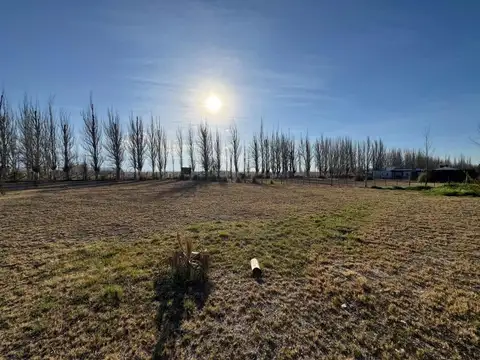 Terreno en Venta en San Carlos 2533 m2 Mendoza