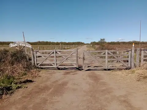 Terreno en Venta en Carpinteria, Junín