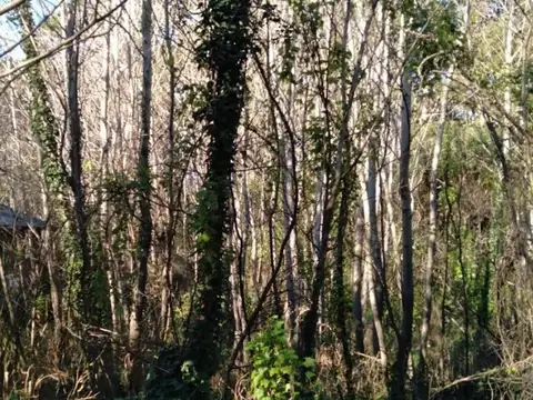 Terreno en venta - 350Mts2 - Mar Azul