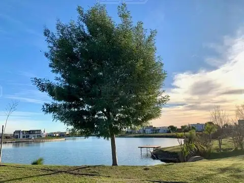 Area 9 Nuestra Señora de la Paz