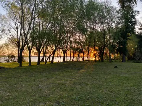 Parana De Las Palmas