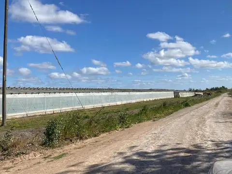 HECTAREAS EN VENTA LA PLATA OLMOS 