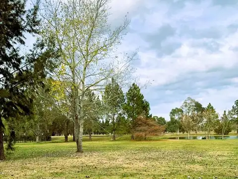 Terreno en Venta de 1260,0 m2