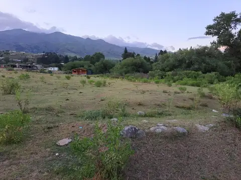 Ovejeria