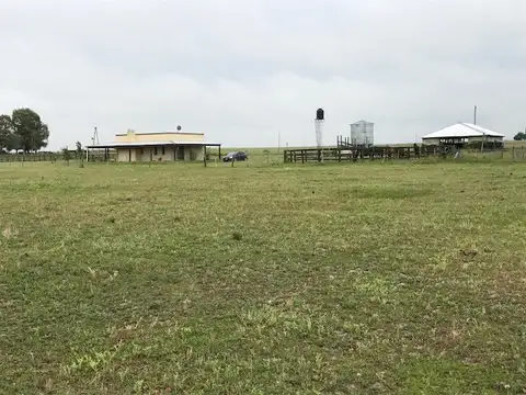 Campo en Venta de 16  ha