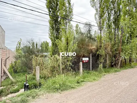 Terreno en venta de 1000 metros Calle Los Aromos Chacras de Coria Lujan de Cuyo