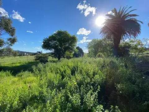 Terreno en Venta 20  mts Frente