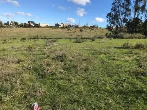 Terreno en Venta 40  mts Fondo