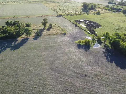 20 ha agricolas en Roque Perez