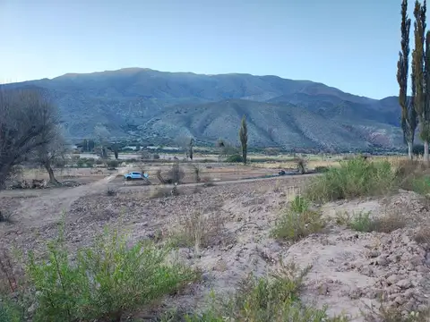 Terreno en Venta 49  mts Fondo