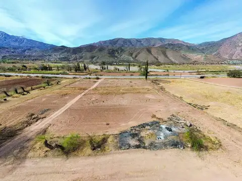 Terreno en Venta 49  mts Fondo