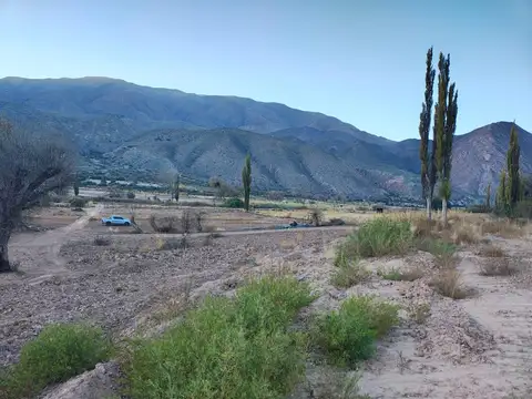 Terreno en Venta 415  mts Frente