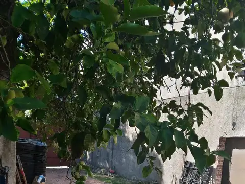 Galpon en Venta 40  mts Fondo