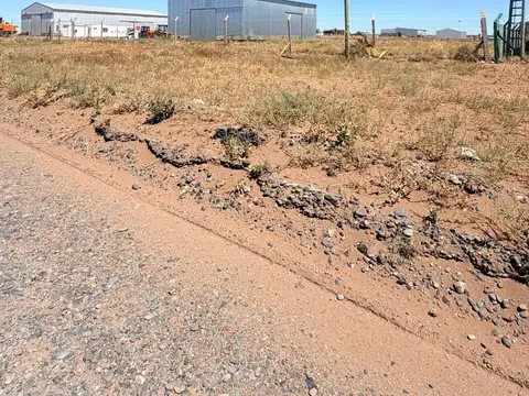 Galpon en Alquiler A Estrenar