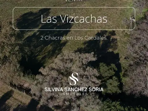 2 CHACRAS EN VENTA, BARRIO CERRADO LAS VIZCACHAS, LOS CARDALES
