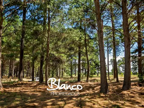 Terreno en Venta de 1760,0 m2