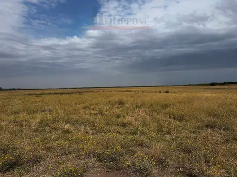 Ruta Nacional 100
