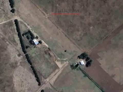 Campo de 300has en Venta a 25 minutos de Bahía Blanca