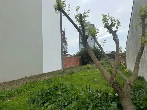 Terreno en Venta en Punta Mogotes, USD 150.000