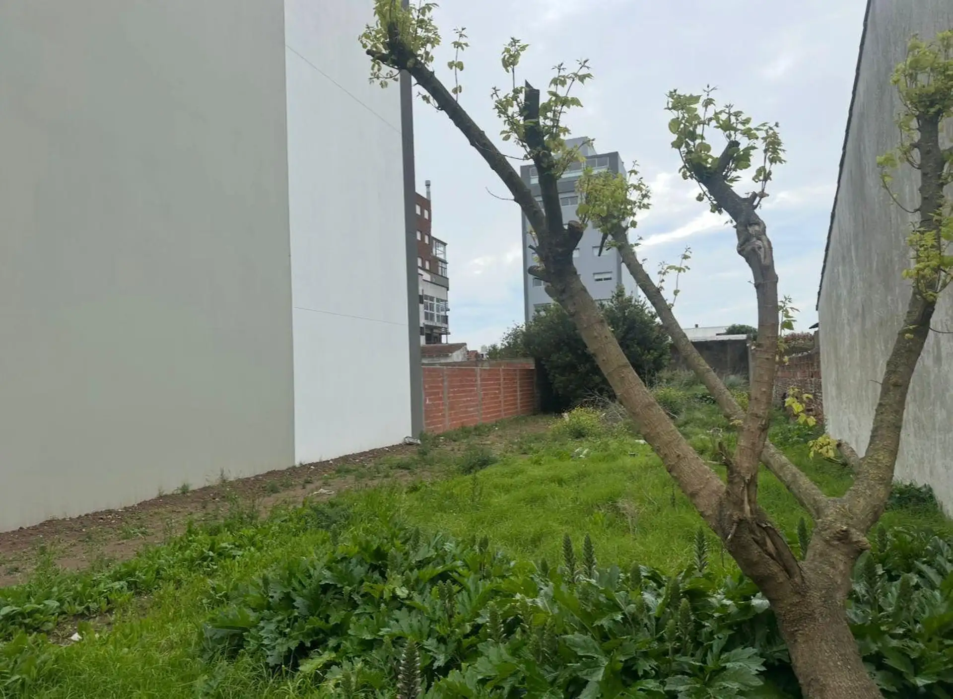 Terreno en Punta Mogotes