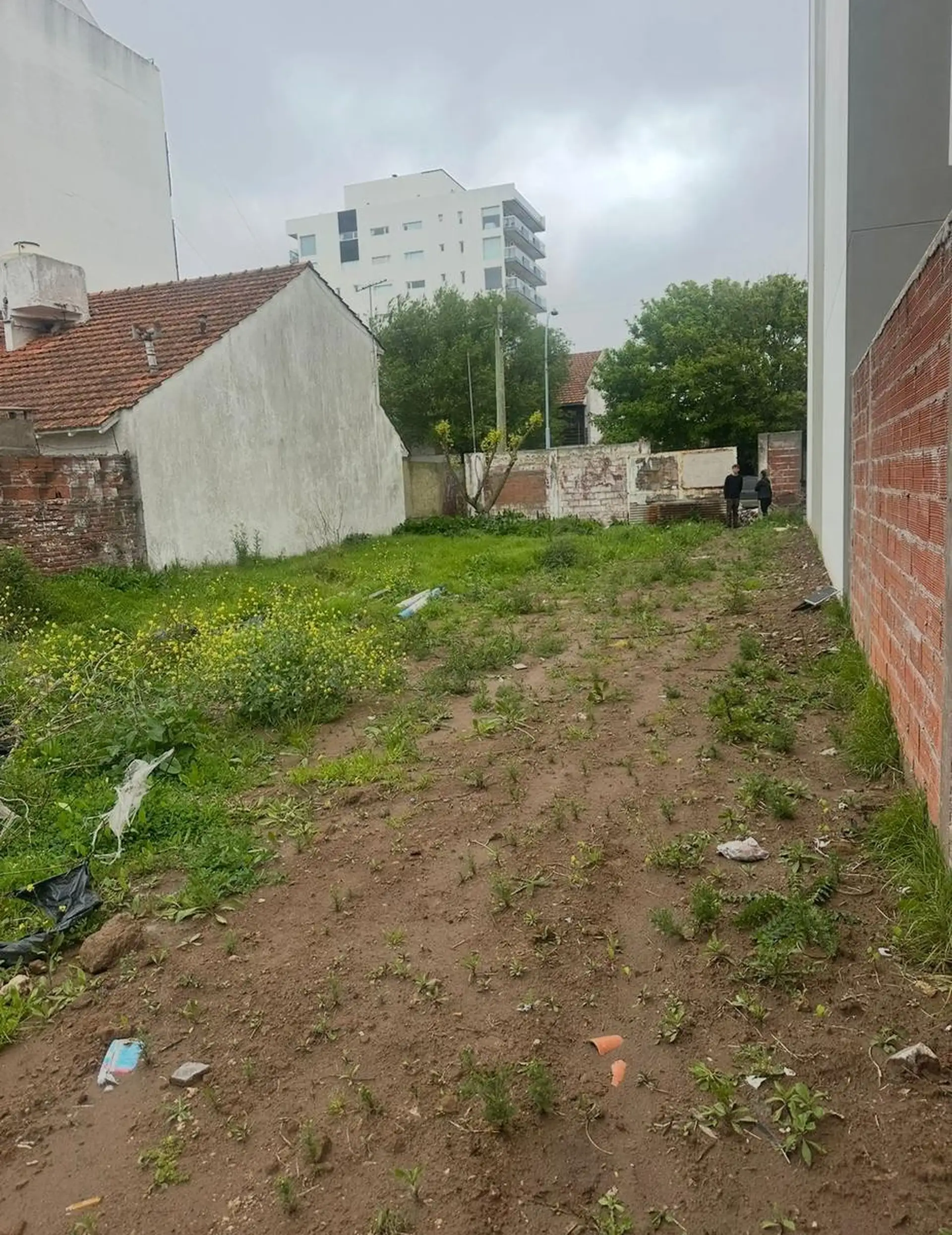 Terreno en Punta Mogotes