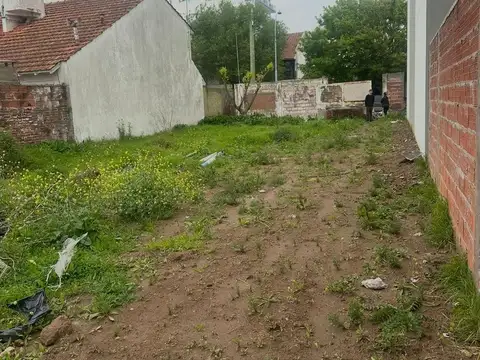 Genova entre Araoz y Bulnes