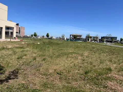 Terreno en Venta 31  mts Fondo