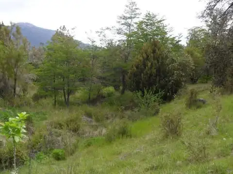 Ruta 84