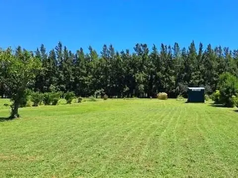 Azahares del Paraná