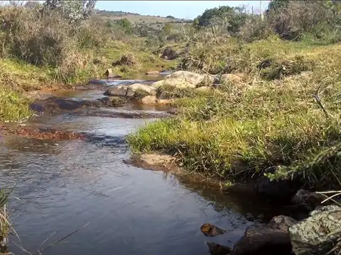 Venta quinta 5 ha en ruta 12 km 28